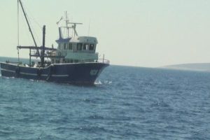 Trol ile balık avlayanlara ceza