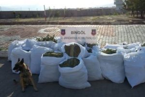 Jandarmadan 1 bu&ccedil;uk milyon TL' lik esrar darbesi