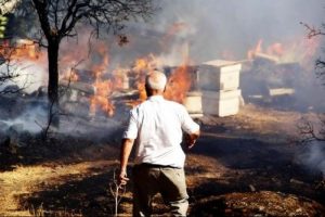 Bodrum'da korkutan yangın!