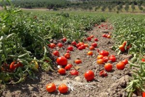 &Ccedil;ift&ccedil;iye toprak analizi uyarısı