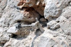5-6 bin kişi il&ccedil;eden ayrıldı iddiası