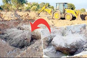 'T&uuml;rkleri buraya g&ouml;md&uuml;k'