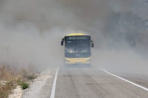 Bursa G&ouml;lyazı'da 30 d&ouml;n&uuml;m k&uuml;l oldu!