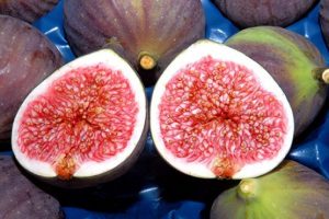 Bursa'da incir &ouml;l&uuml;mleri neden yaşandı?