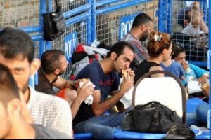 Yıl 2015: Bodrum'da g&ouml;&ccedil;menlere kafes