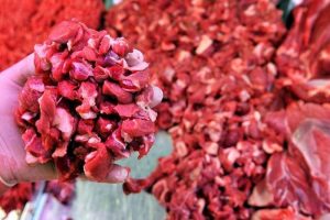Piyasaya karkas et satışı başladı