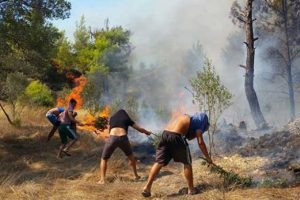 Manavgat'ta orman yangını