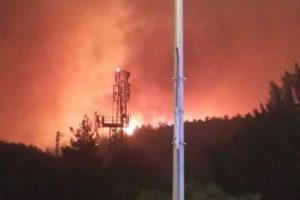 Bursa'da yangın 50 hektar alanda devam ediyor!
