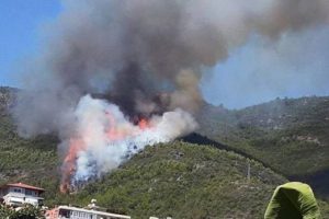 Alanya'da orman yangını