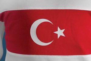 Bursaspor milli takımlara 11 oyuncu verdi