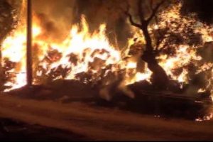 Bursa'da samanlık yandı, koyunlar son anda kurtarıldı