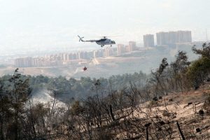 Mudanya Belediye Başkanı: Yanan alanlarda yapılaşmaya izin vermeyiz