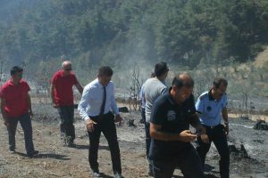 "Bursa'nın ormanlarını kimseye yedirmeyeceğiz!"