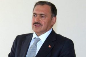 Bakan Eroğlu'ndan Bursa'daki yangınla ilgili a&ccedil;ıklama geldi