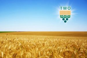 TMO Başkanı Ağmil hububat &uuml;retimini değerlendirdi