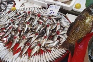 Balık pazarında şenlik var