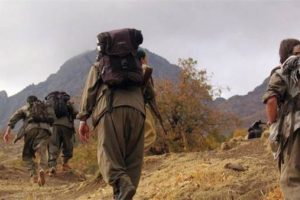 PKK'ya eleman temin eden bir kişi yakalandı