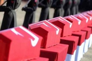 Şehitlerin ailelerine haber ulaştırıldı