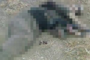 Batman'da bir PKK'lının cesedi bulundu