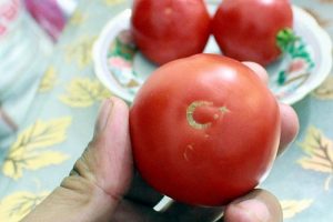 Domatesteki ay yıldız fig&uuml;r&uuml; dikkati &ccedil;ekiyor
