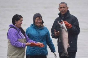 Obama, vahşi doğada ayılardan arta kalan somon balığını yedi