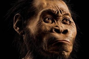 G&uuml;ney Afrika'da insanın atası yeni bir t&uuml;r bulundu