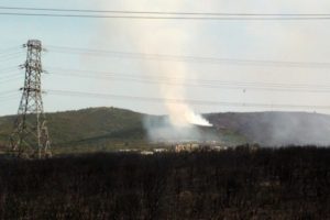 Tuzla'daki orman yangınlarında sabotaj ihtimali