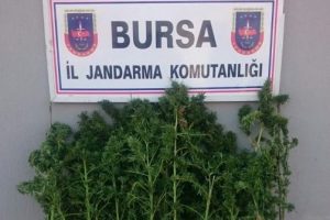 Bursa Orhangazi'de uyuşturucu operasyonu