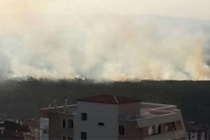 ODT&Uuml; ormanında yangın &ccedil;ıktı