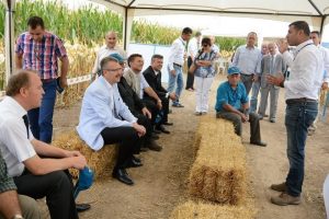 Bursa Karacabey'de Mısır Festivali