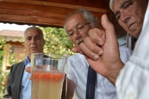 Bursa'daki bu bah&ccedil;ede t&uuml;m &uuml;r&uuml;nler doğal ve GDO'suz