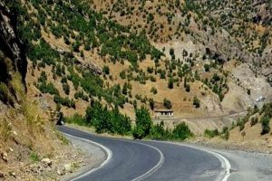 Yola tuzaklanmış bomba imha edildi