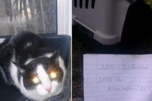 Cami &ouml;n&uuml;ne bebekten sonra bunu da g&ouml;rd&uuml;k!Kapıya...
