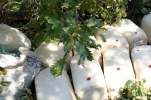 4 ton patlayıcı ele ge&ccedil;irildi