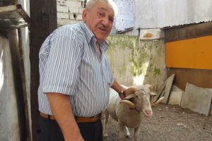 Bursa'da papyonlu ko&ccedil; 'Murat' bu sene ya satılacak yada...