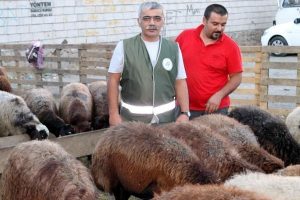 Kurbana eziyet edene para cezası