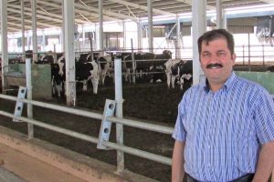 Bursa Veteriner Hekimler Odası uyardı: Kurban alırken/keserken dikkat edilmesi gerekenler