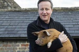 David Cameron hakkındaki 'domuz iddiası' İngiltere'yi karıştırdı