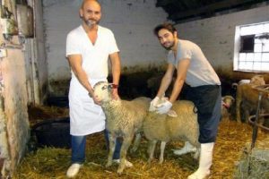 Almanya'da T&uuml;rkler bayramı bekliyorlar