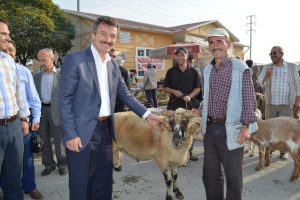 Bursa Yenişehir'de hayvan pazarı denetlendi