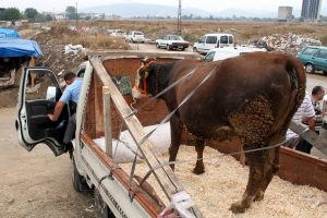 Bursa'da kurban pazarlarında son g&uuml;n telaşı