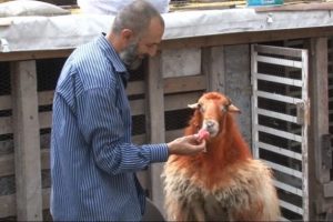 Kesmeye kıyamayınca birlikte kahvaltı yaptılar