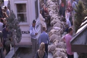 Ey&uuml;p Sultan'da 46 şehit i&ccedil;in 46 kurban kesildi