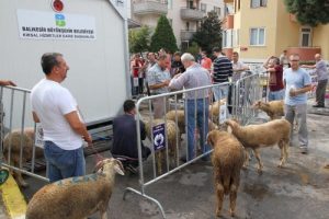 Balıkesir'de mobil kesim hizmeti
