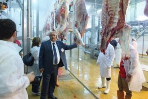 Türk Kızılayı: "Yurt dışında 17 ülkede kurban kesimi yapıyoruz"