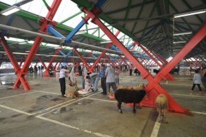 Bursa'da 19 farklı noktada hijyenik kesim