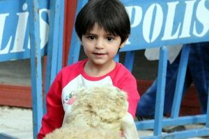 Yetim &ccedil;ocuklar i&ccedil;in 350 kurban kesildi