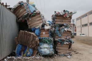 Bursa Nil&uuml;ferliler 707 bin 625 ağa&ccedil; kurtardı