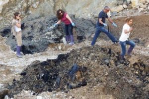 Pamukova'da kimyasal atık bulundu