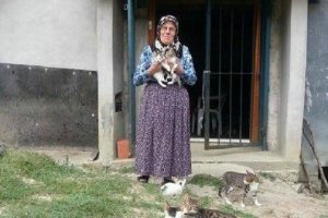 40 kediyle birlikte yaşıyor